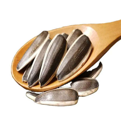 Купить Тип выращивания ОБЩИЙ урожай Новейший урожай солнечный солнце Снекинг Семена Вкусная закуска online manufacture