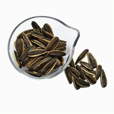Купить китайские семена подсолнечника цена за тонну Jumbo Seeds Original Flavor online manufacture