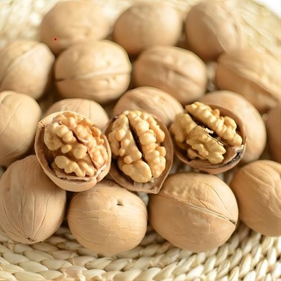 Вкусные карпатские грецкие орехи - идеальный ингредиент для пищи