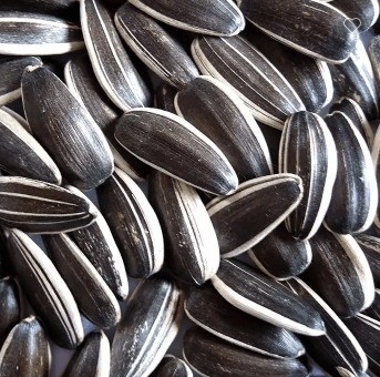 Эффективно удовлетворять требования клиентов с помощью Sunshine Grove Kernels