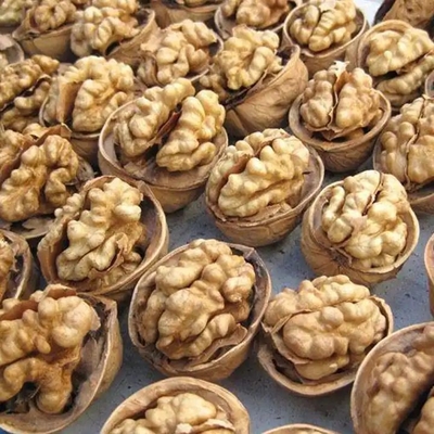 Опыт непревзойденной производительности с Walnut Core Nucleus 2