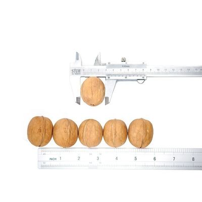 Amazon горячая продажа Высокое качество Лучшая цена оптовая фабрика Синьцзян тонкая кожа 185 грецкий орех 32 мм +