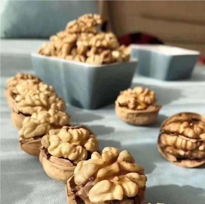 Обновите свою линию продуктов с Walnut Kernel Xin 2 в большом количестве