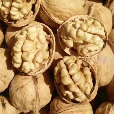 Новейшая культура для производительности