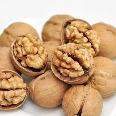 Обновите свою линию продуктов с помощью Walnut Kernel Xin 2