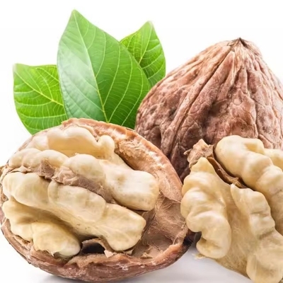 Китайская фабрика Новый продукт Орех с более низкой ценой и высоким качеством